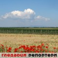 Гледаоци репортери (4. август 2013)