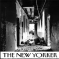 The New Yorker:  Има ли наде за Либију?