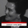 Дневник