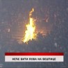 Дневник