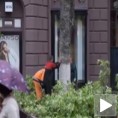 Дрво и "букве"