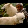 Сасвим природно:Човек вук (I део)