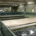 Ужице, ускоро радови на санацији фабрике воде