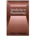 Роберт Соколовски: Основна одређења феноменологије