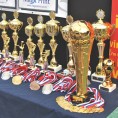 "Спортско лето Фонтана", 20 година јубилеја