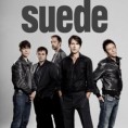 "Suede" у јулу први пут у Србији!