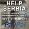 Извештај о помоћи из дијаспоре