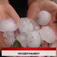 Дневник