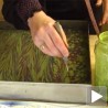 Ебру - сликање на води