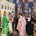 Устоличен епископ аустријско-швајцарски Андреј у Бечу