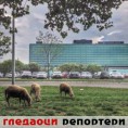Гледаоци репортери (30. јул 2014)