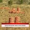 Дневник