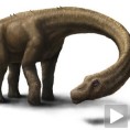 Џиновски Дреднотус, највећи диносаурус икада пронађен