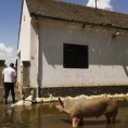 Војвођанска партија подсећа на Јамену