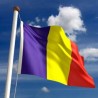 Румунија: Нови DTT тендер
