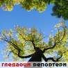 Гледаоци репортери (25. октобар 2014)