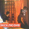 После ремија у Москви, Љајић и Пјанић у стриптиз бару!