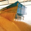 За Робне резерве више од милијарду динара 