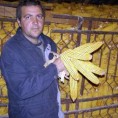 Радиша Радисављевић најуспешнији пољопривредник