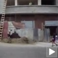 Тарзанов нови посао