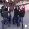 Дрво узвраћа ударац
