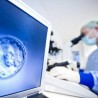 Од ћелија коже направили сперму и јајне ћелије
