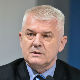 Васин: Половина страних инвестиција  у Војводини
