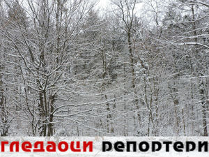 Гледаоци репортери (8. јануар 2015)