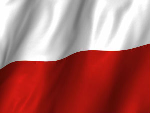 Пољска продужава DTT консултације