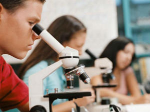 Фамилиологија