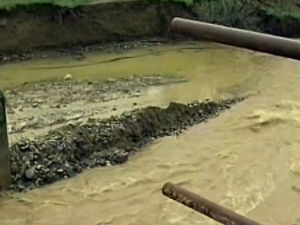 Новости дана