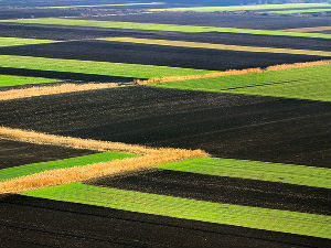 Речено и прећутано