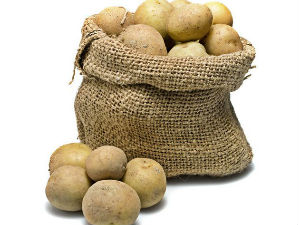 Фамилиологија