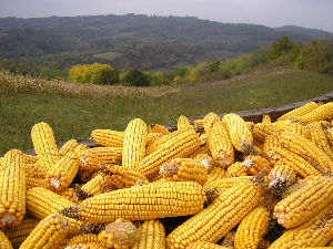 Речено и прећутано