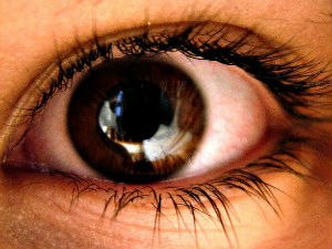 У средишту пажње