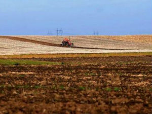 У средишту пажње