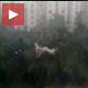 Пољски куршлус