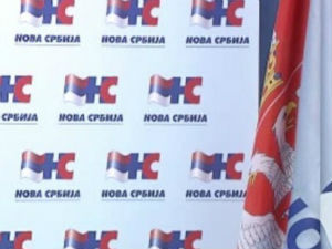 Нова Србија:  ДС нема легитимитет за владу у сенци