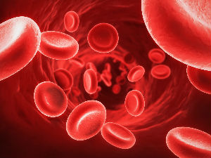 Научници претворили ћелије рака у здрава крвна зрнца