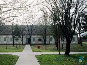 Фамилиологија