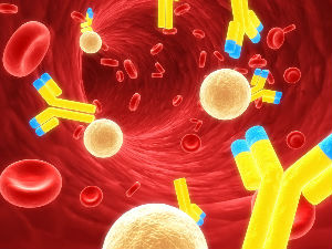 У средишту пажње