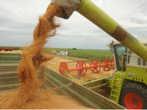 Речено и прећутано 