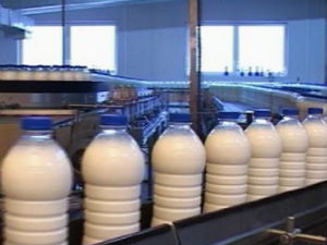 У средишту пажње