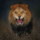 Фотограф овог лава једва извукао живу главу