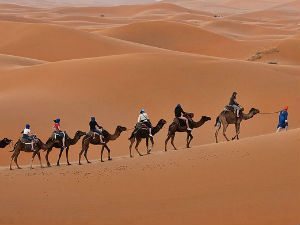 Караван