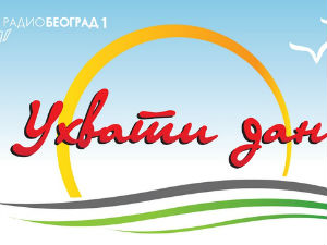 Ухвати дан
