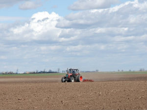 У средишту пажње