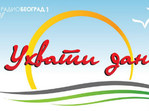 Ухвати дан