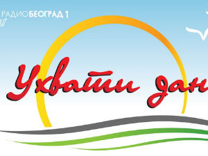 Ухвати дан