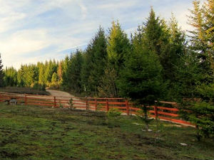 Добро јутро децо